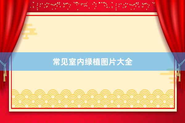 常见室内绿植图片大全